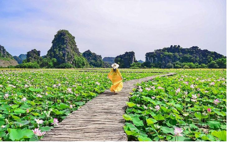 Du lịch Ninh Bình