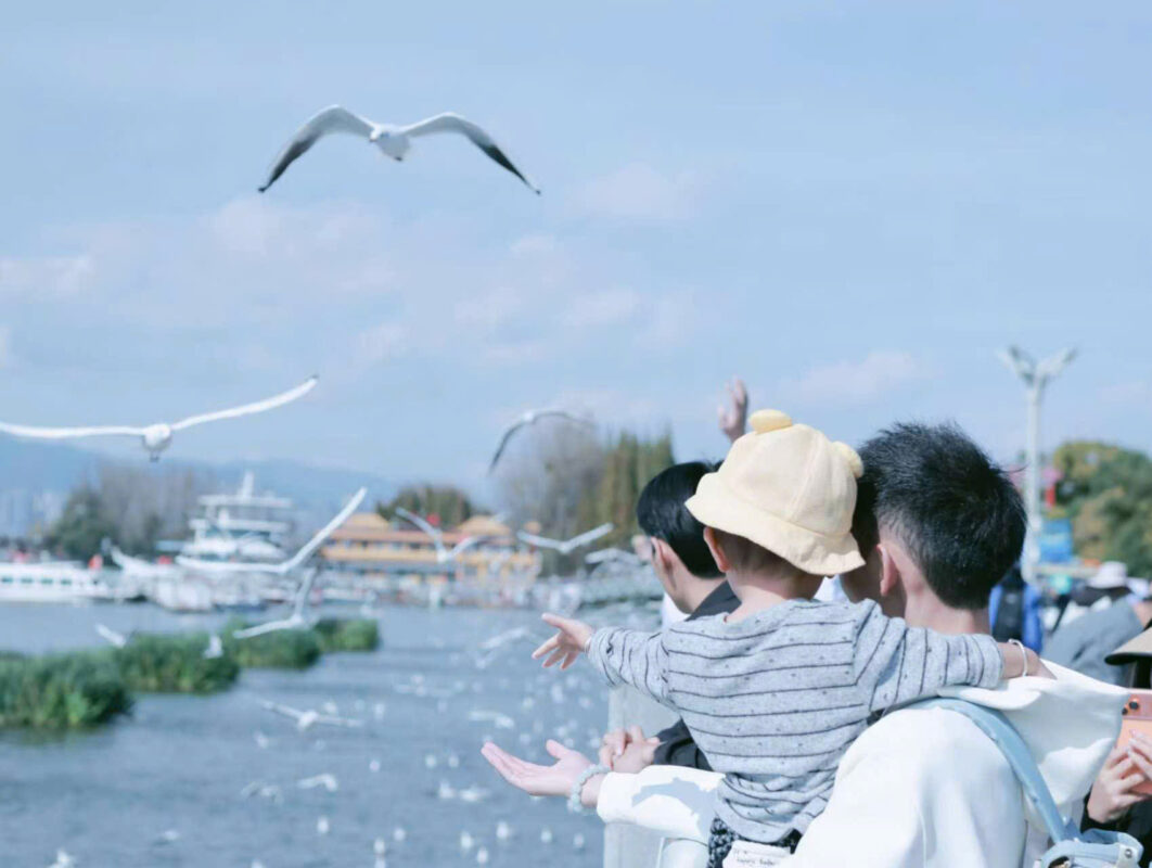 Tour Trung Quốc - ngắm hải âu hồ Điền Trì