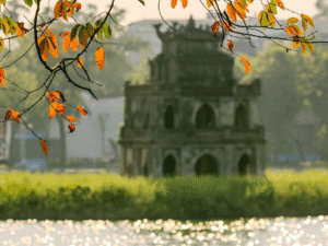 Tour Trong Nước