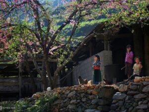Tour Hà Giang 4 ngày 3 đêm