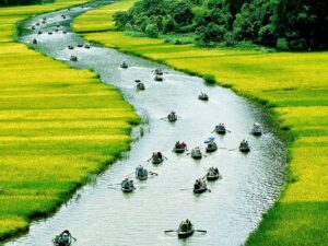 Tour Ninh Bình