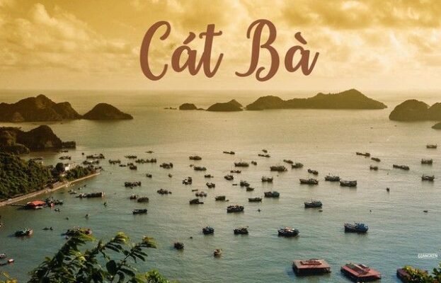 Tour Đảo Cát Bà