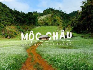 Tour du lịch Mộc Châu