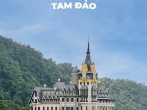 Tour du lịch Tam Đảo 1 ngày