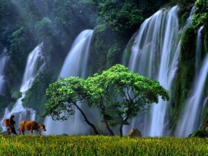 Tour Thác Bản Giốc Cao Bằng