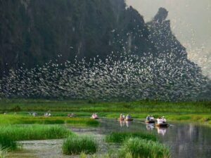 Tour Hoa Lư – Bích Động – Thung Nham 1 Ngày