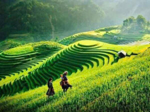 Tour Hà Giang 3 ngày 2 đêm