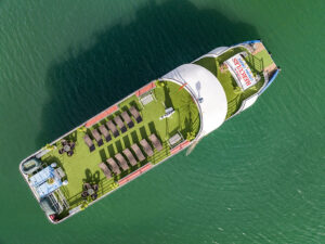 Tour Hạ Long 1 ngày – Sea Lion Cruise