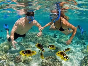 Tour Miền Tây Sài Gòn - Mỹ Tho - Bến Tre – Cần Thơ - Phú Quốc - 4N3D