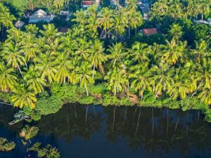 Tour Miền Tây Sài Gòn - Mỹ Tho - Bến Tre – Cần Thơ - Phú Quốc - 4N3D