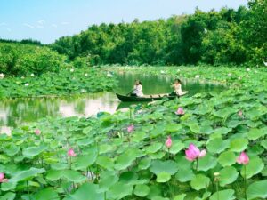 Tour Miền Tây Sài Gòn - Tiền Giang - Đồng Tháp – Châu Đốc - Hà Tiên - Cà Mau - Bạc Liêu - Sóc Trăng - Cần Thơ - 6N5D