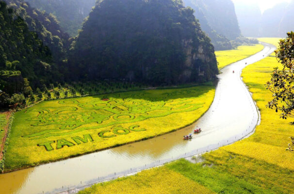 Tour Ninh Bình