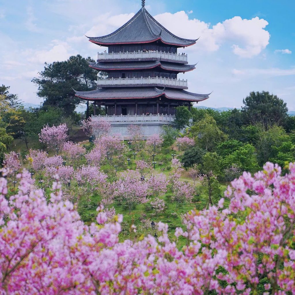 Tour Trung Quốc - Nam Ninh - Thanh Tú Sơn - Thái Bình Cổ Trấn 3N2D - Hình ảnh 6